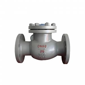 DN50 PN25 介質(zhì)：甲胺，溫度：80℃止回閥