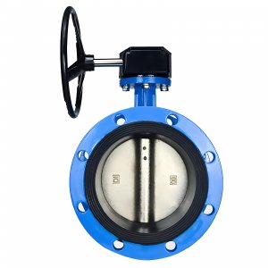法蘭式蝸輪蝸桿蝶閥DN40，1.6Mpa（橡膠密封
